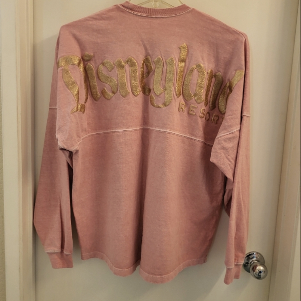 Disneyland spirit jersey